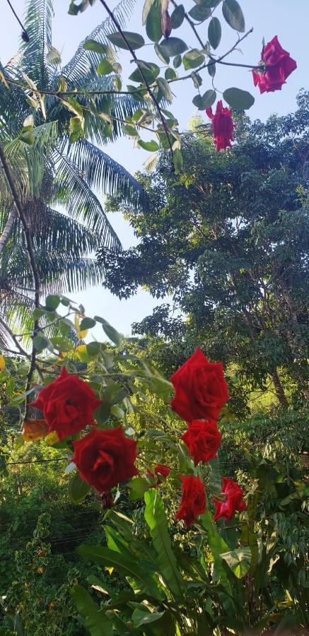 Estalagem Da Gama Paraty