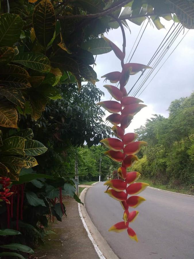 Da Gama * Parati