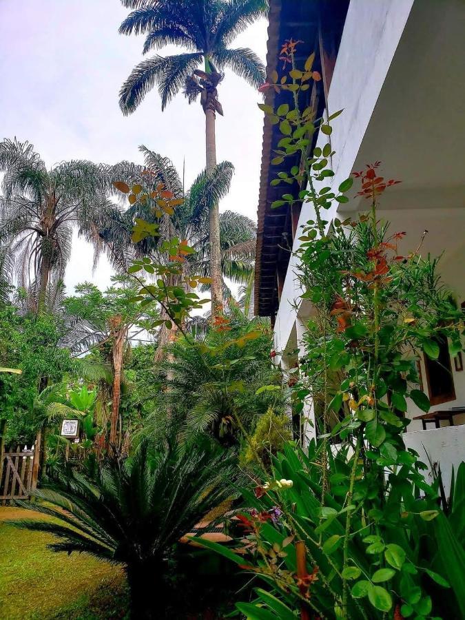 Inn Da Gama *