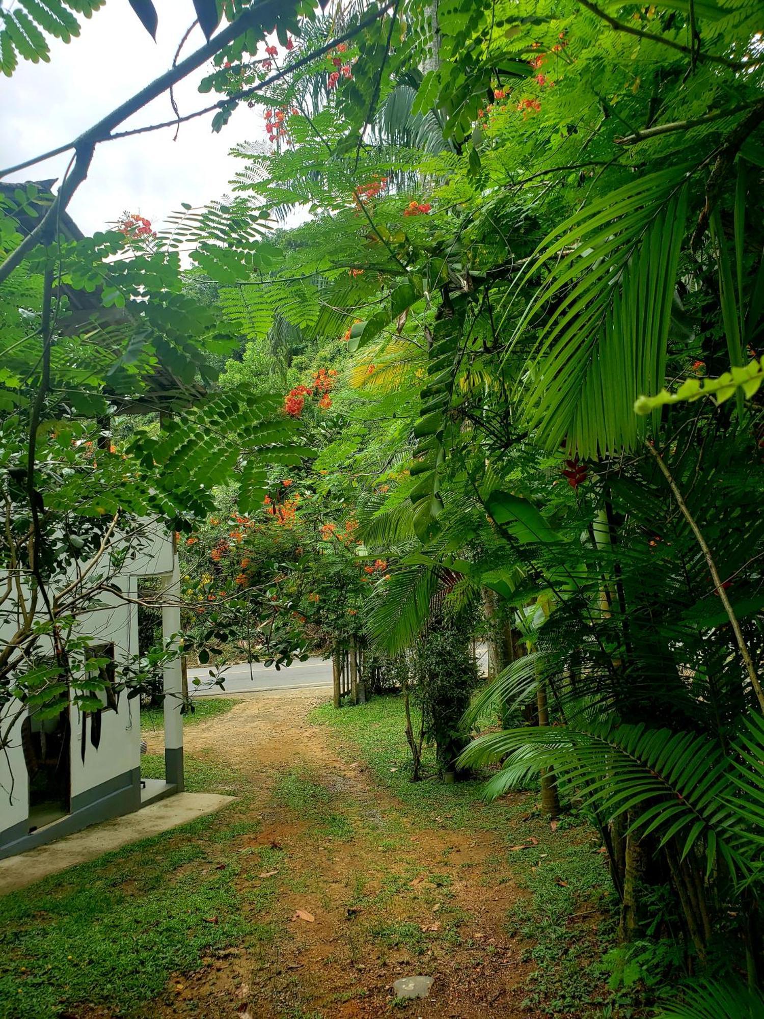 Da Gama Inn